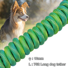 BTINESFUL 30ft green dog tie-out rope supports training sessions.