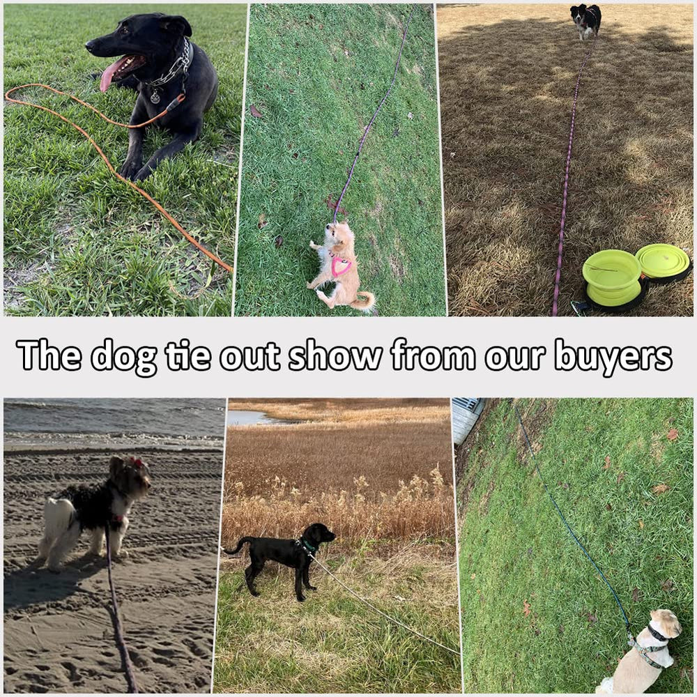 BTINESFUL 8ft green short lead for close control during playtime.