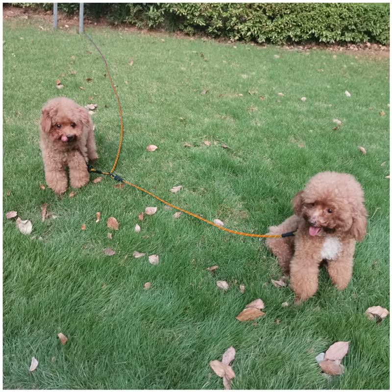 Dual-dog BTINESFUL runner for seamless outdoor management