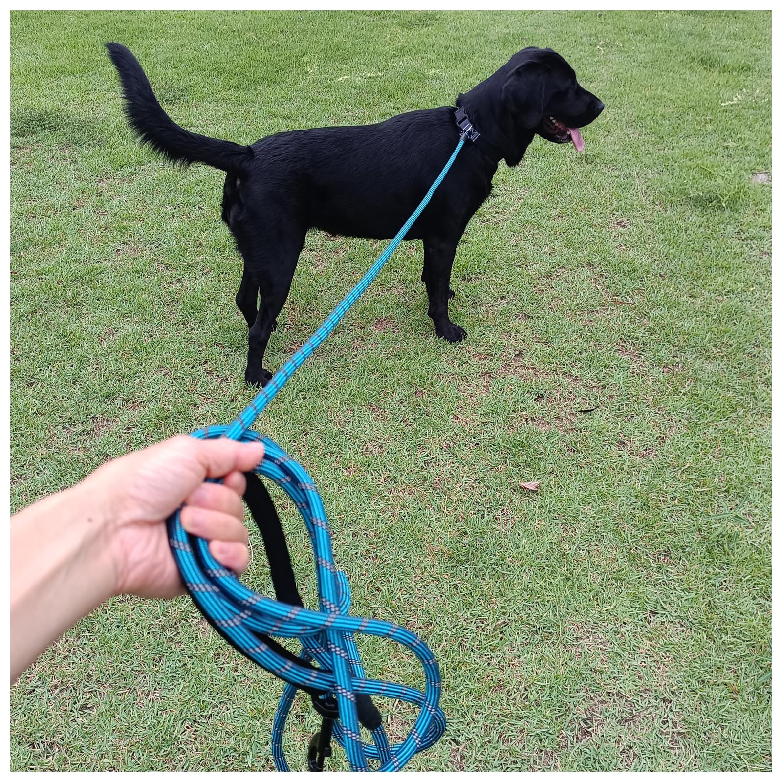 BTINESFUL long dog leash dual swivel hooks prevent tangling during activity