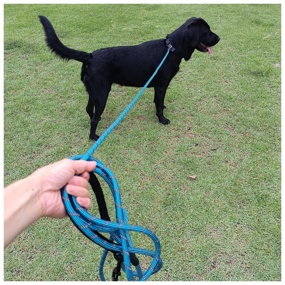 BTINESFUL long dog leash dual swivel hooks prevent tangling during activity