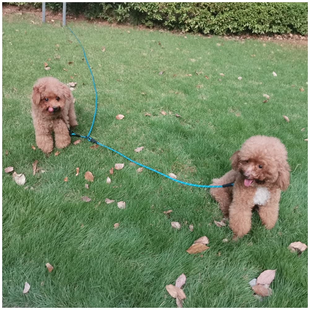BTINESFUL portable tether with 3 ft sling for quick setup outdoors