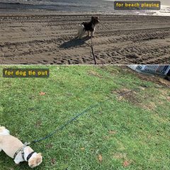 BTINESFUL 30ft green rope permits flexible yard tethering during training