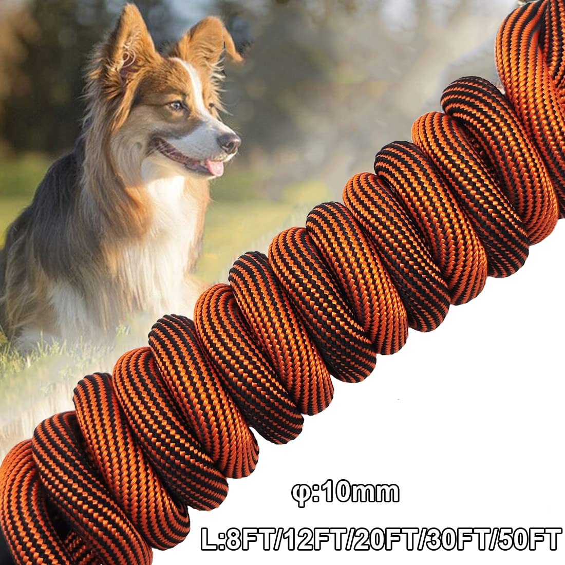 BTINESFUL tie-out rope 50ft orange-black long leash for camping