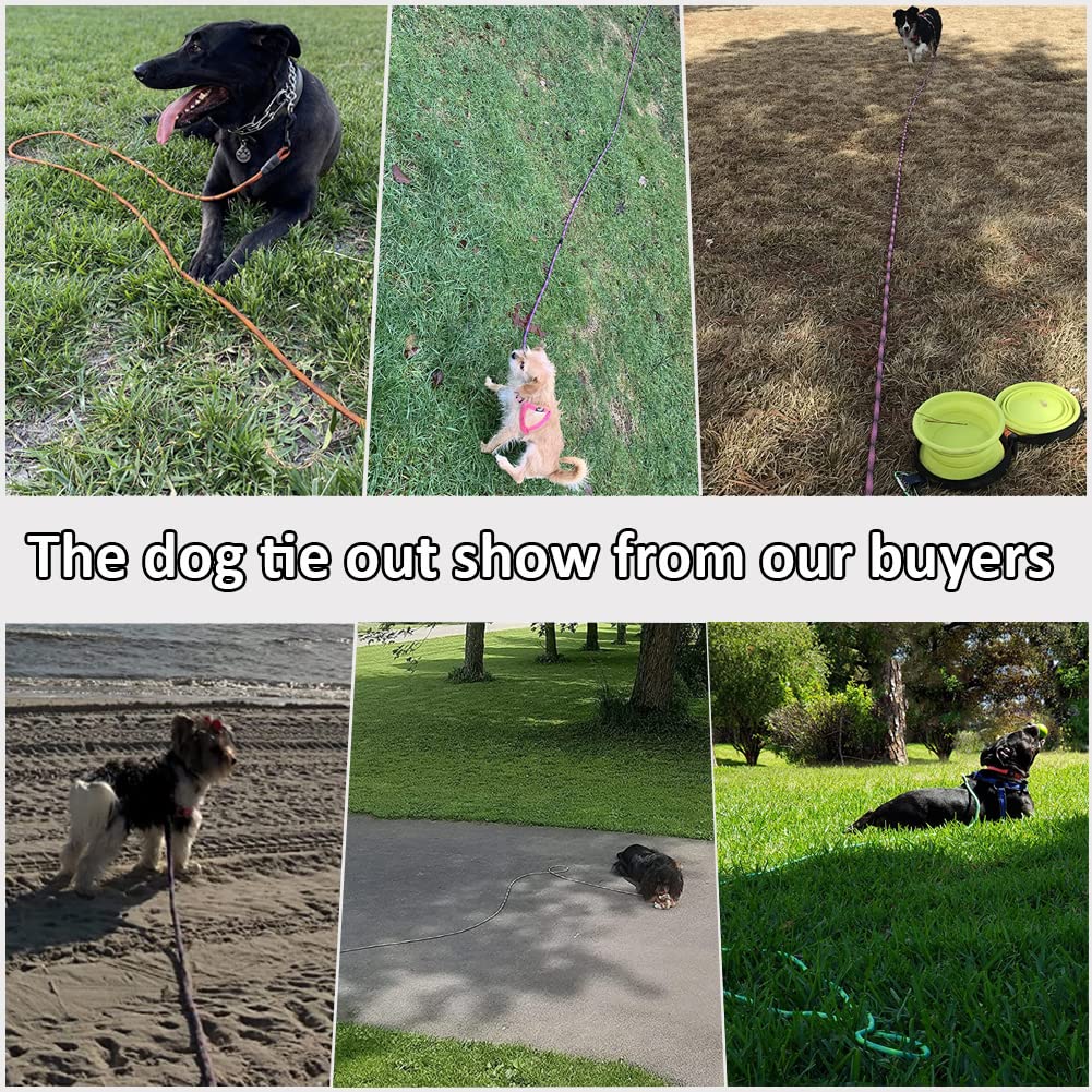 BTINESFUL tie-out rope backyard setup for safe dog containment