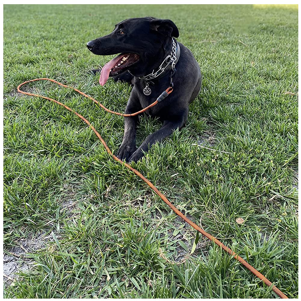 BTINESFUL nylon rope shows durability for outdoor use.