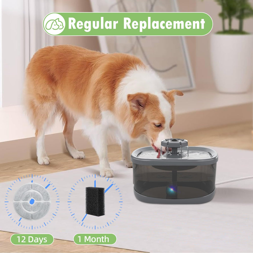 BTRSOLUS secure packaging for dog fountain filters emphasizes freshness and readiness.
