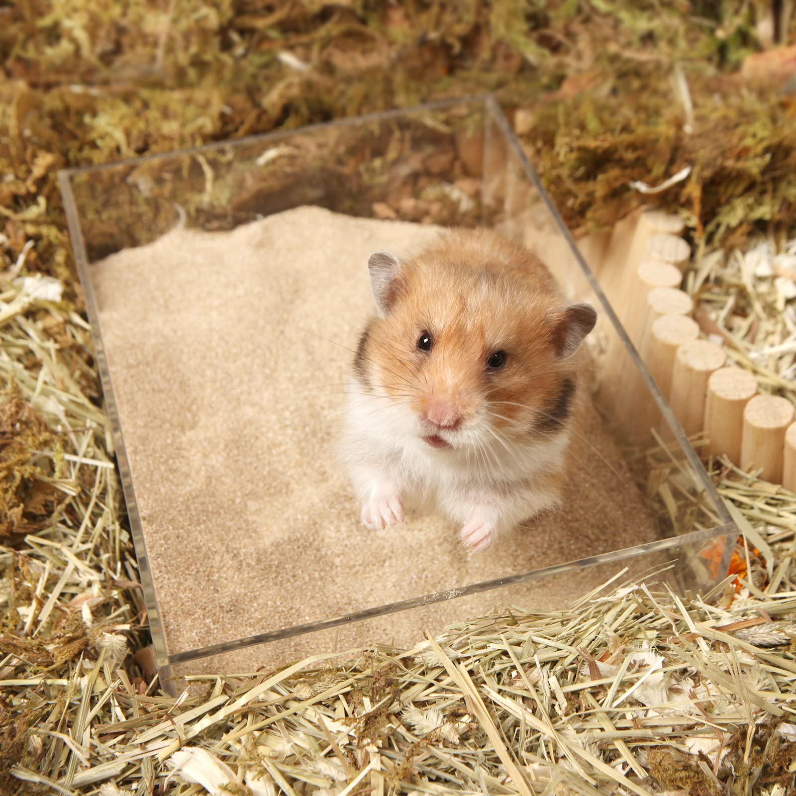 BUCATSTATE fine desert sand texture promotes gentle grooming.