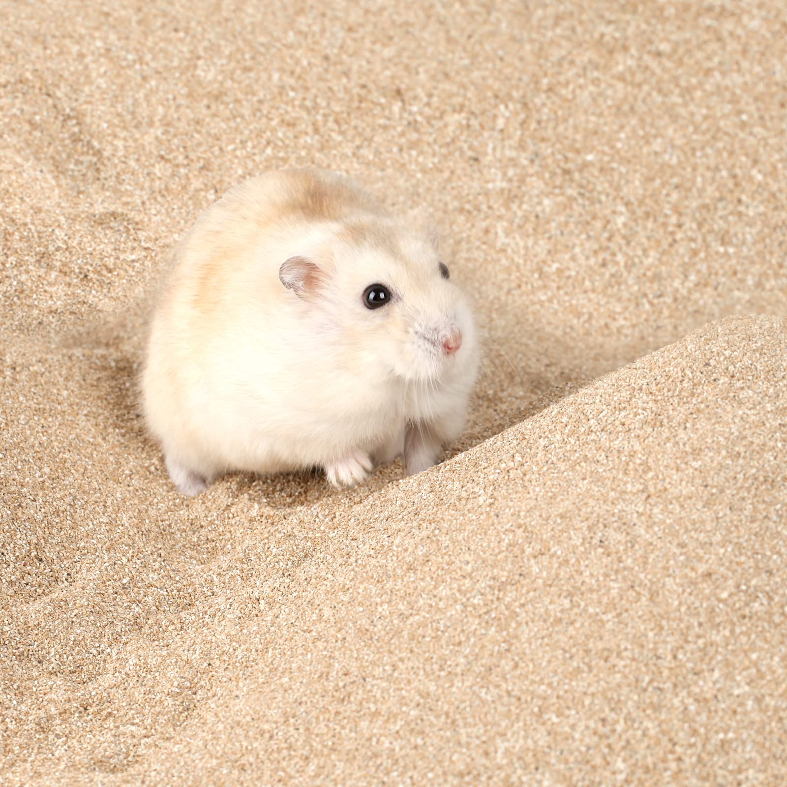 BUCATSTATE fine-grain sand delivers soft grooming with minimal irritation.