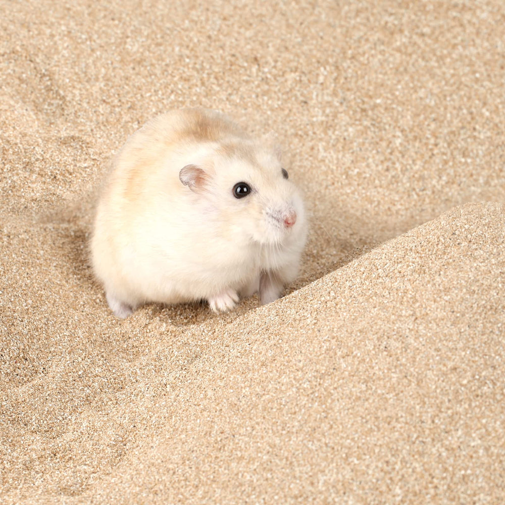 BUCATSTATE fine-grain sand delivers soft grooming with minimal irritation.
