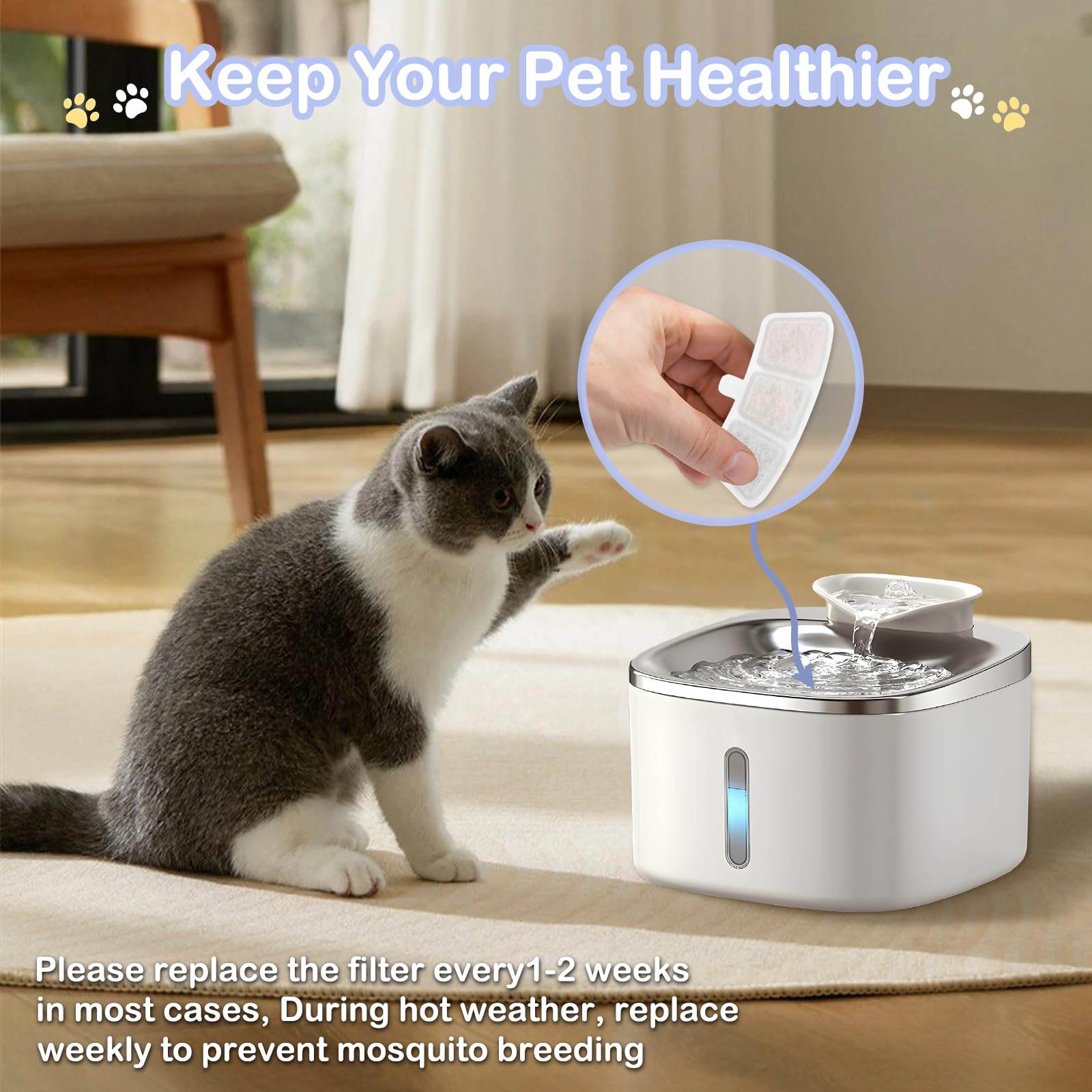 Keep fountain running smoothly with regular replacement for better hydration.