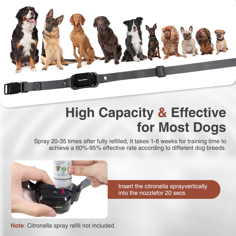 Bubbacare bark collar spray view highlighting humane barking control.