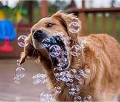 Bubbletastic sausage and cheese bubble bottle offers varied scent-based fun