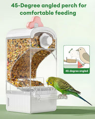 Bucatstate 20° inclined feeding surface supports natural bird posture.