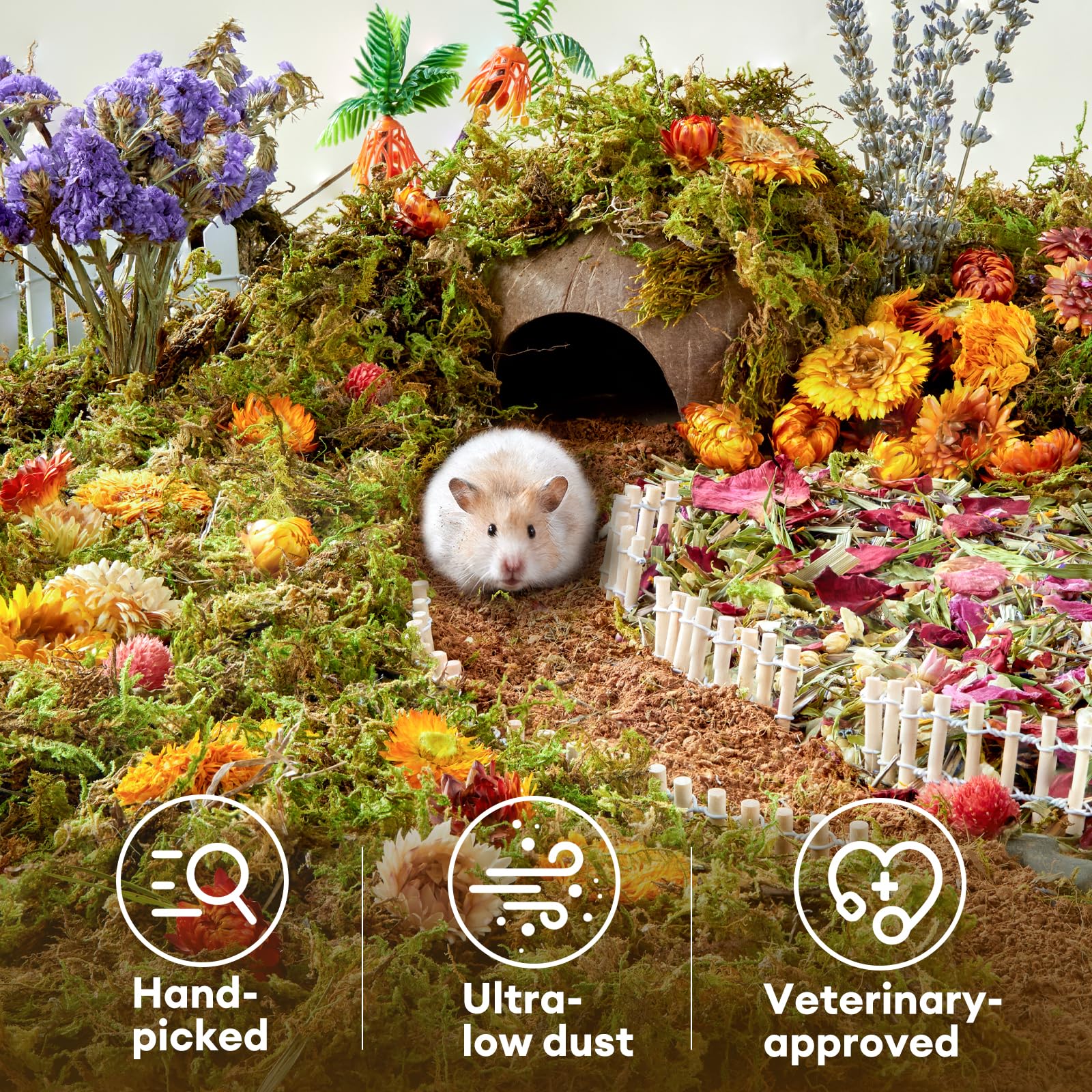 BUCATSTATE cardboard hamster house adds a fun hideout and enrichment.