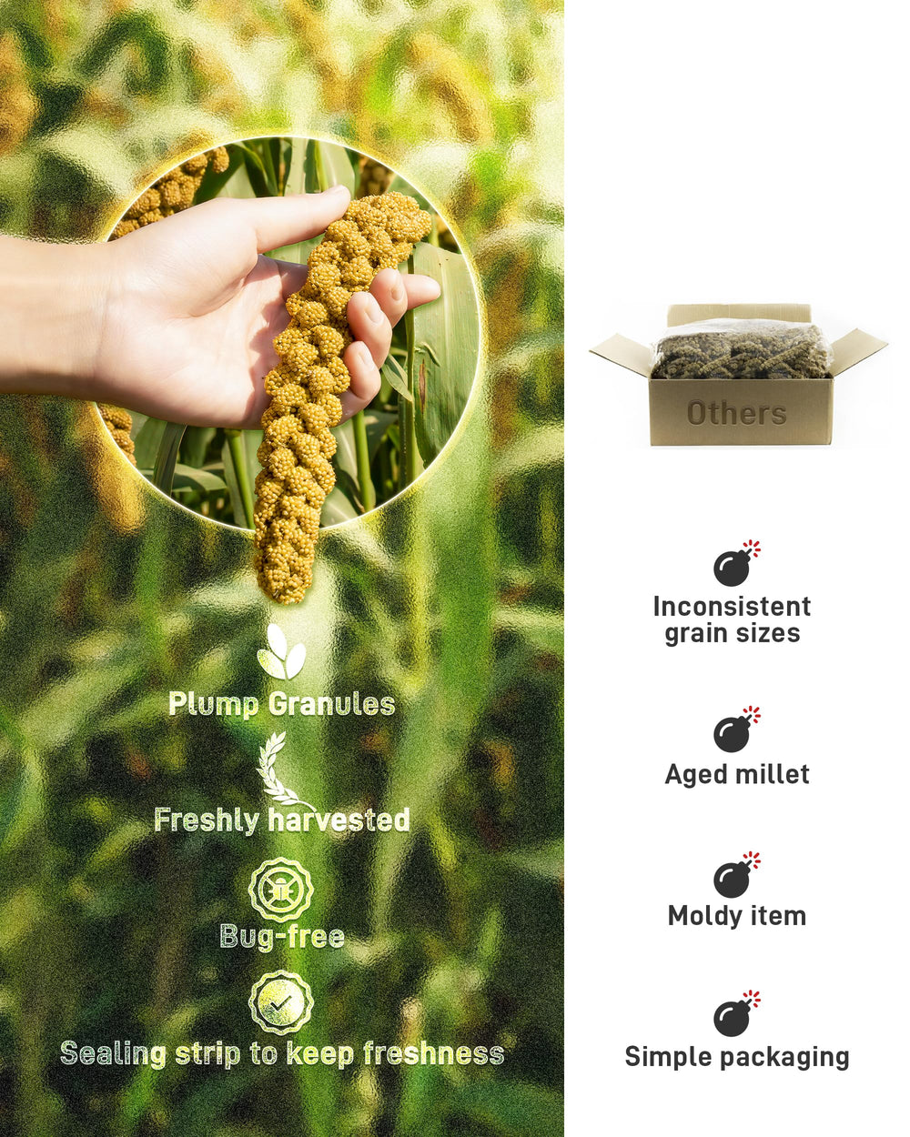 BUCATSTATE foraging feeder scene encourages bird enrichment