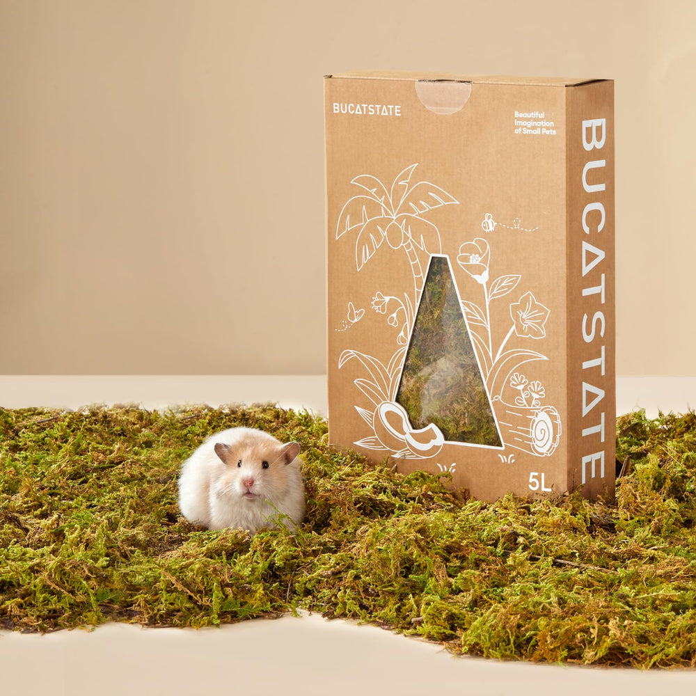 BUCATSTATE forest moss hamster bedding creates cozy nests for small pets.