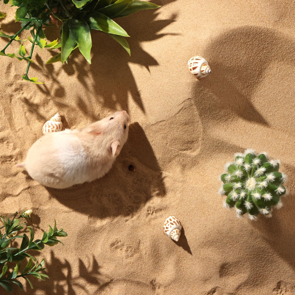 BUCATSTATE absorbent sand controls odors in small pet cages