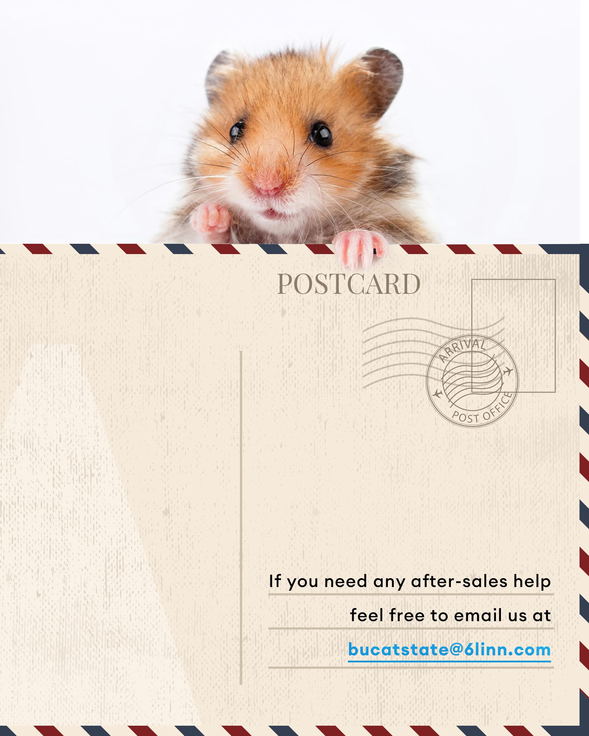 BUCATSTATE Hamster Cage 3.0 easy-clean frame simplifies maintenance