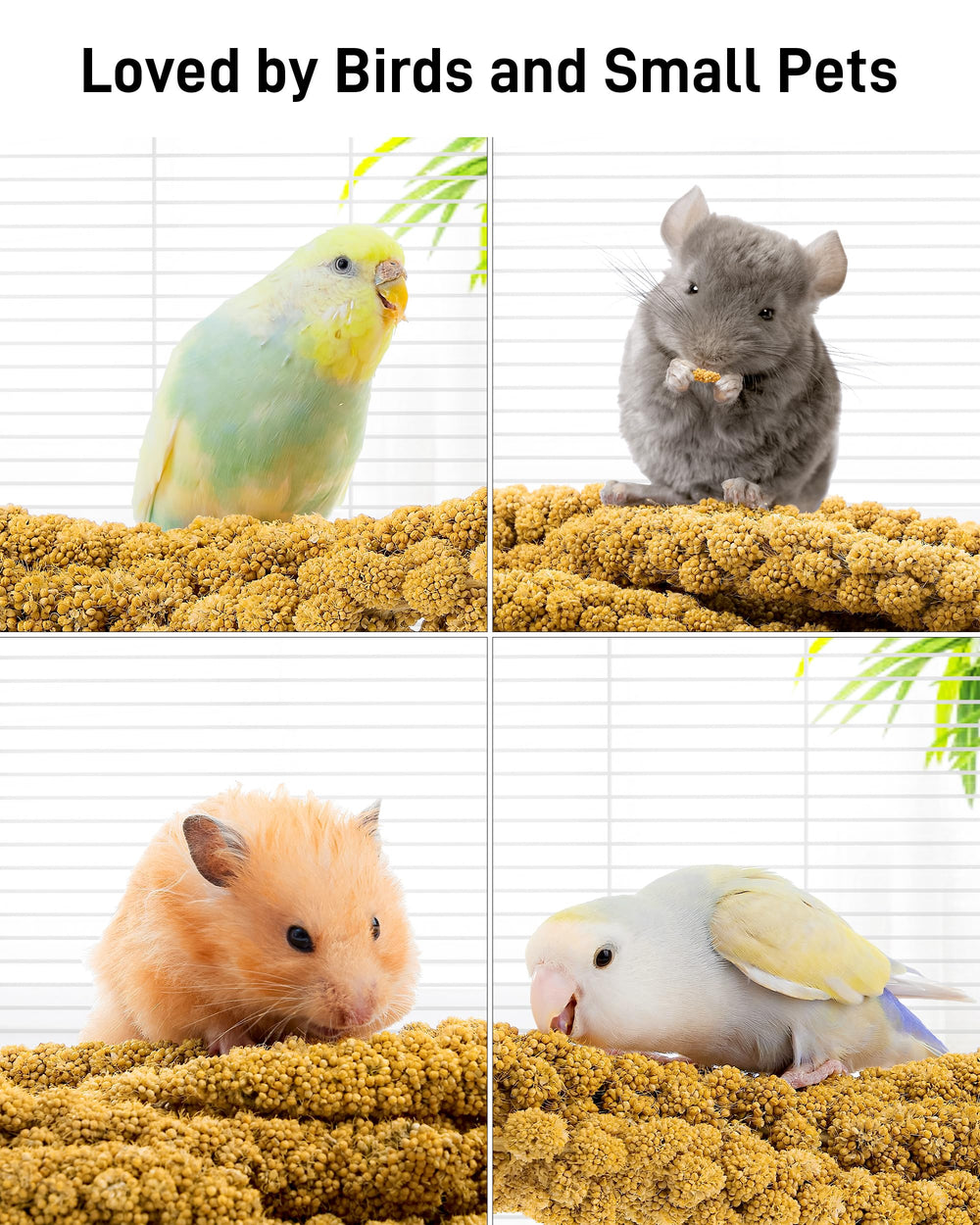 BUCATSTATE millet is a low-fat, highly digestible snack for birds