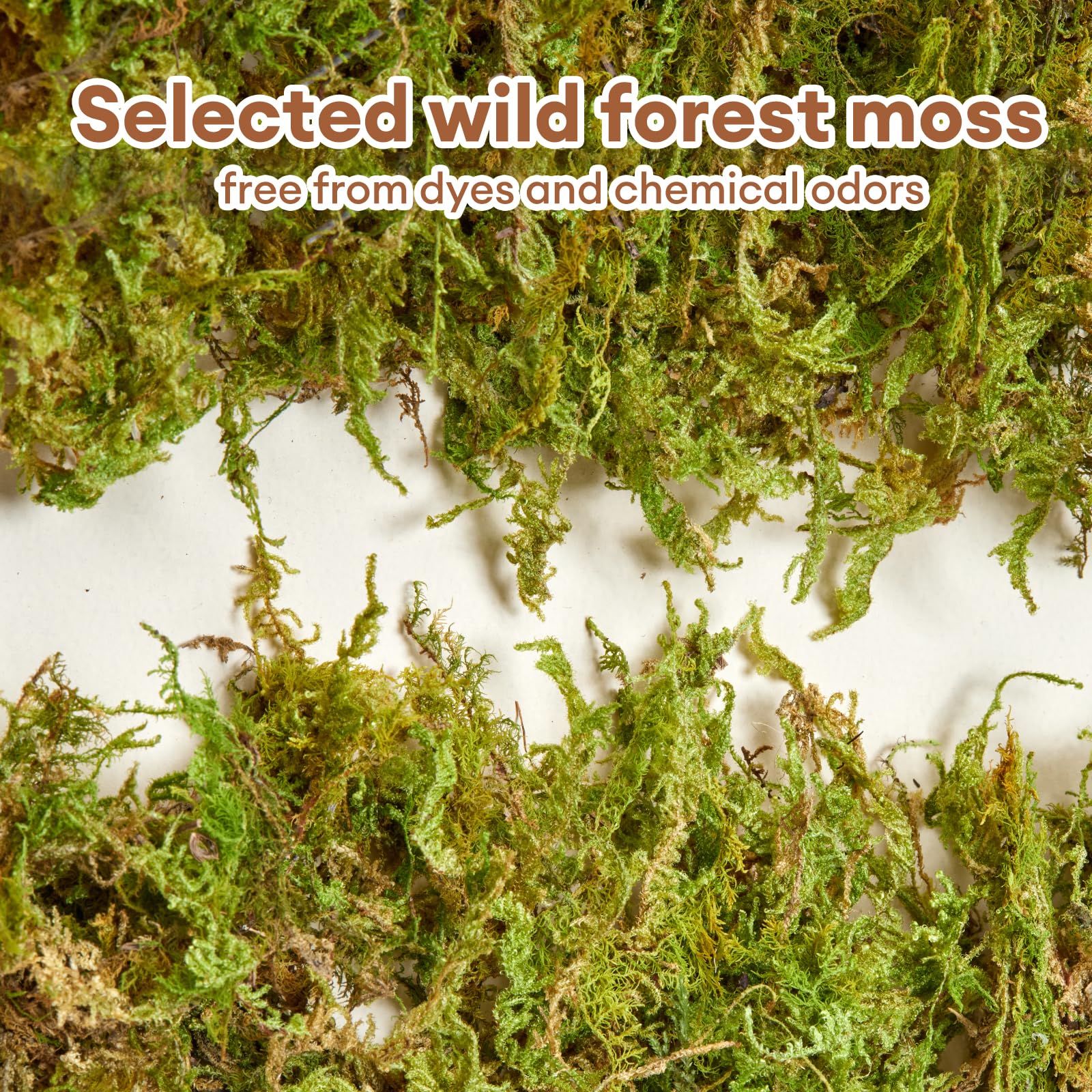 BUCATSTATE odor-control moss helps keep the hamster cage fresh.