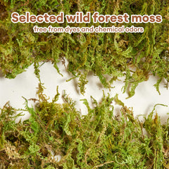 BUCATSTATE odor-control moss helps keep the hamster cage fresh.