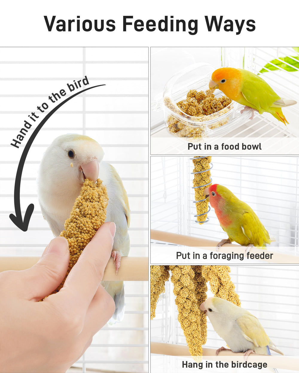 BUCATSTATE parrot and cockatiel serving in cage with low-fat treat
