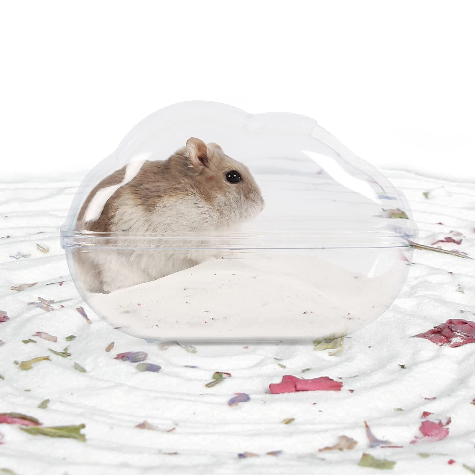 BUCATSTATE perfect pair with sand bath container for daily use