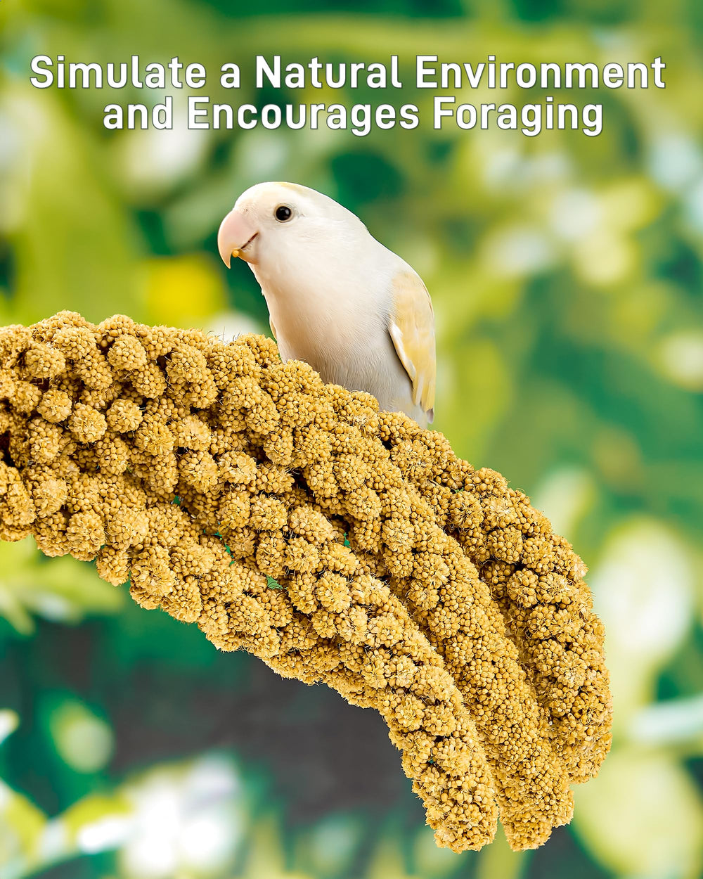 BUCATSTATE millet treats suitable for multiple birds and small pets