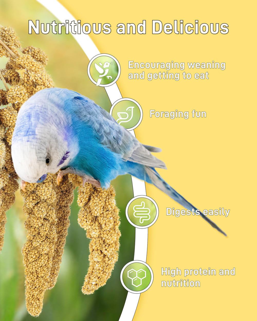 BUCATSTATE sun-dried millet treats as natural bird snack