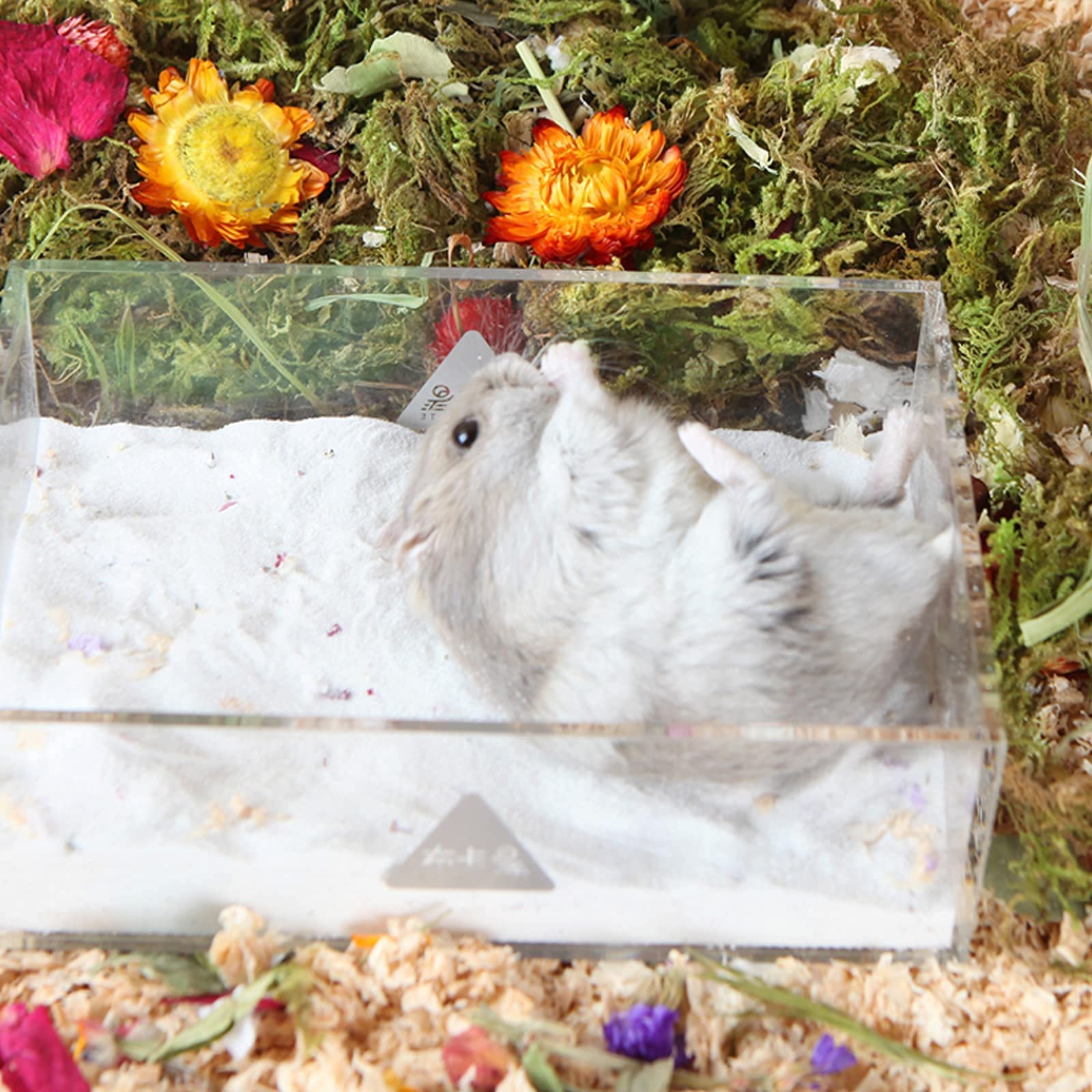 Bright white BUCATSTATE dust-free sand looks clean and fresh