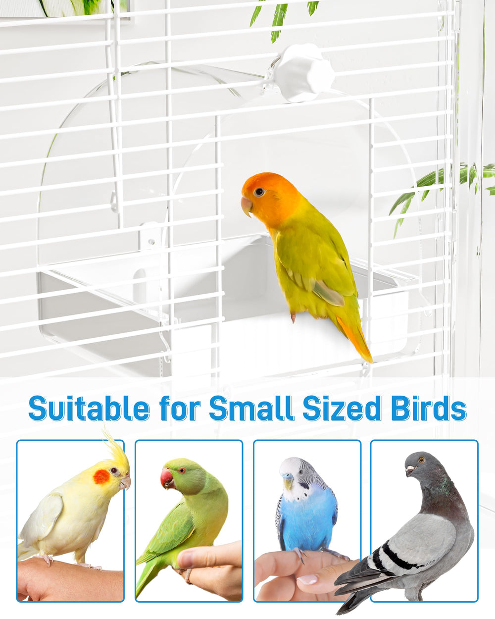 BUCATSTATE works with StarView cage for seamless compatibility.