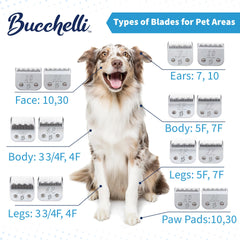 Bucchelli Japanese high-carbon steel blade shines with lasting sharpness for pets.