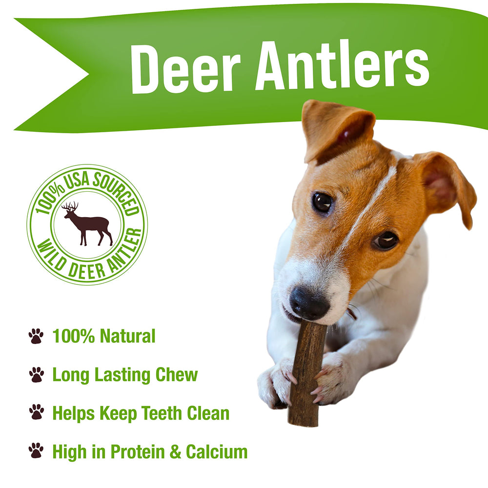 Buck Bone Organics deer antler chew highlighting natural shade and texture