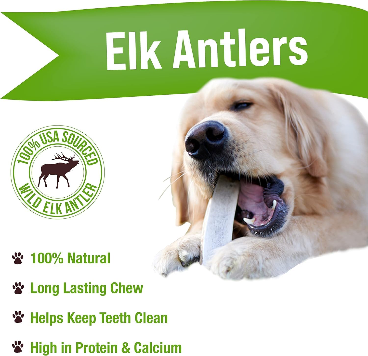 Buck Bone Organics elk antler close-up shows natural texture for chewing.