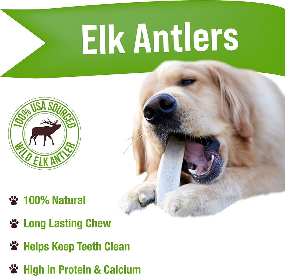 Buck Bone Organics elk antler close-up shows natural texture for chewing.