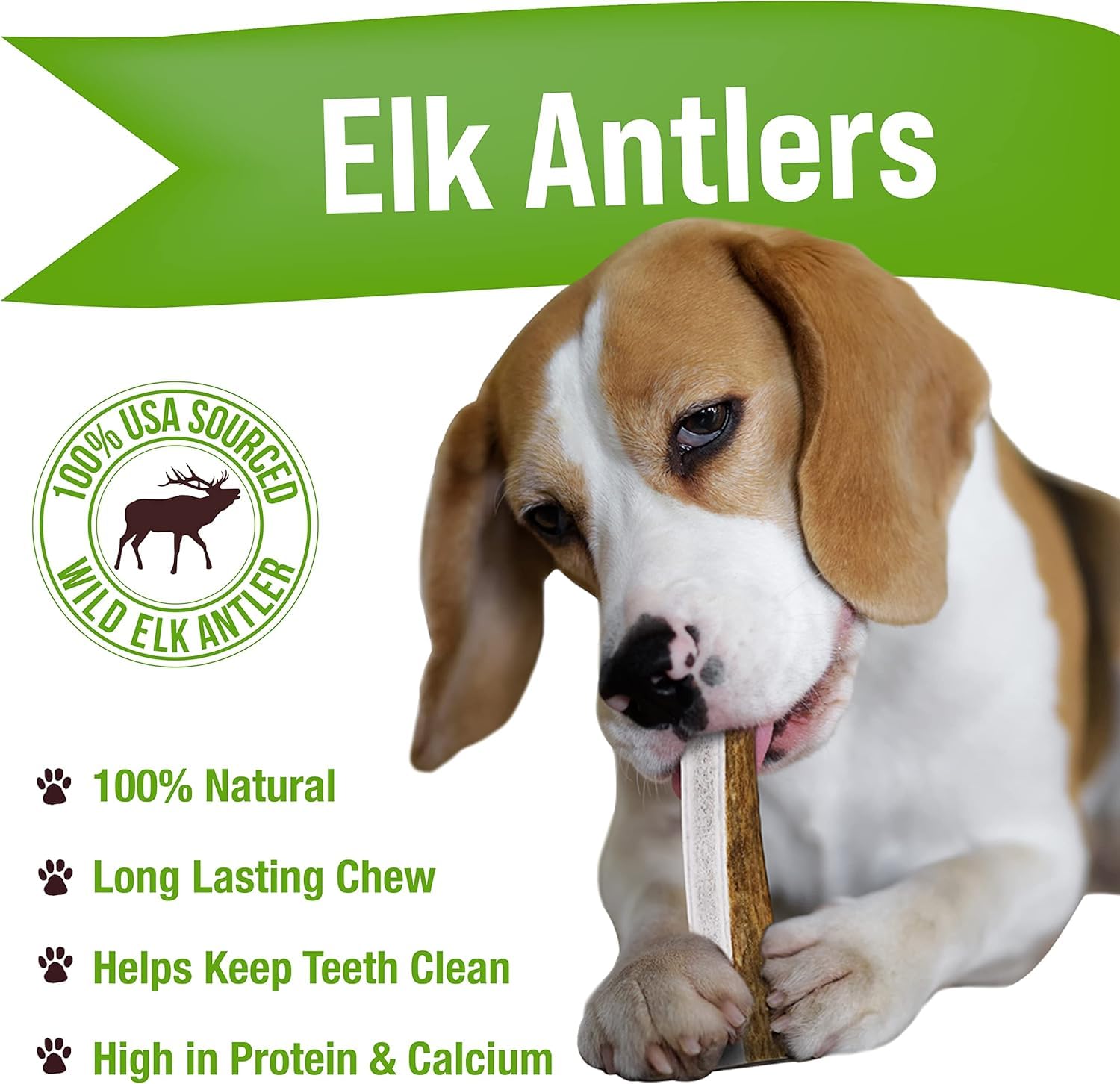 Buck Bone Organics elk antler closeup highlighting natural texture and durability