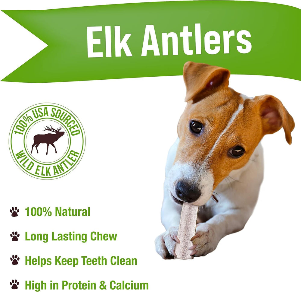 Buck Bone Organics elk antler splits, 4-inch length, ideal for small dogs.
