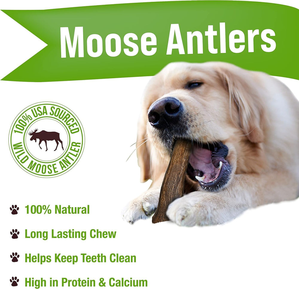 Buck Bone Organics Moose Antler Large Chew packaging highlights USA-sourced all-natural ingredients