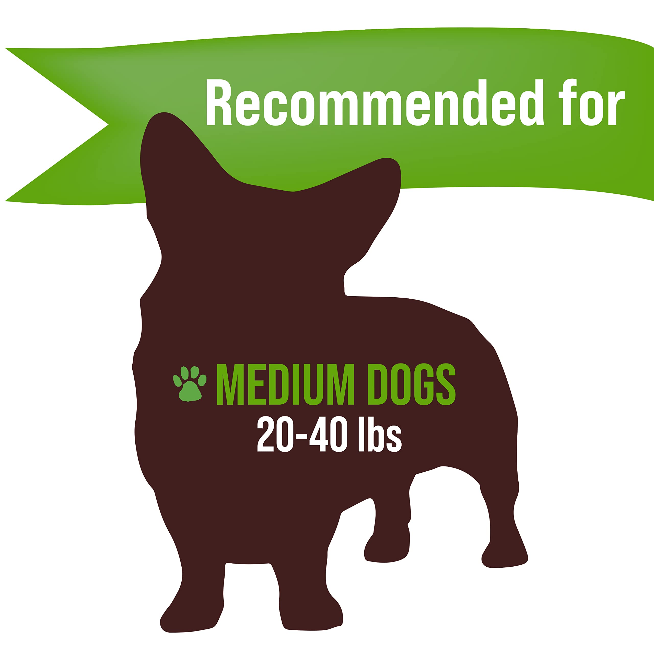 Buck Bone Organics elk antler chews, USA made, long lasting chew for dogs
