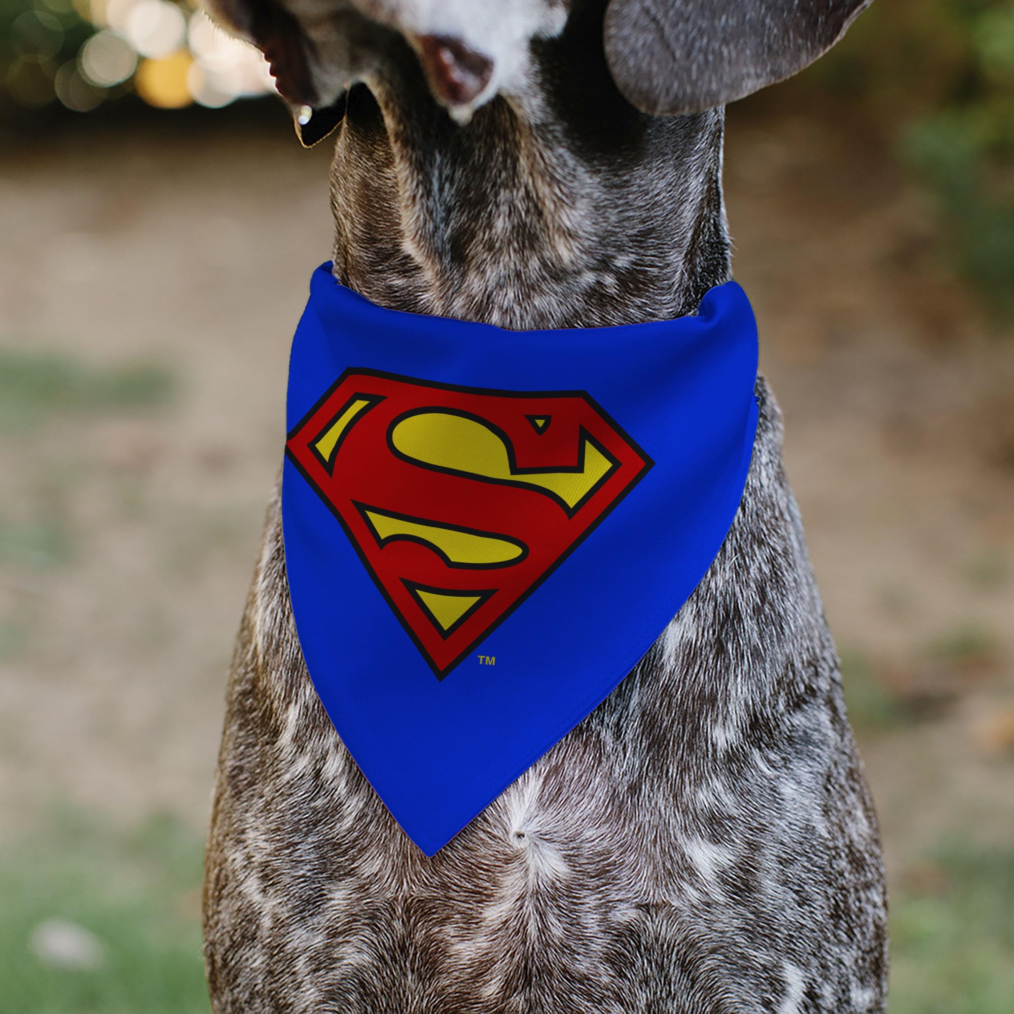 Buckle-Down slip-on bandana fits 1-inch collars securely for easy wear.
