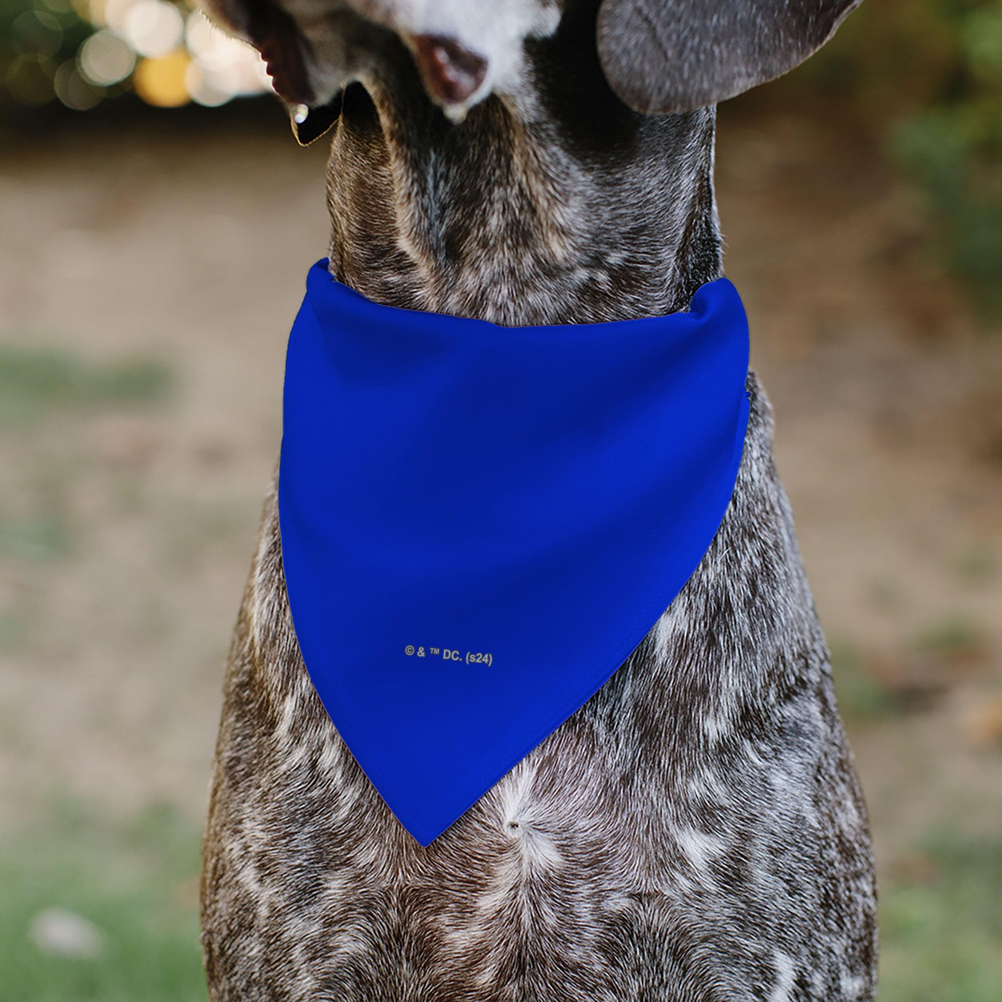 USA-made Buckle-Down DC Comics bandana with official branding and packaging.