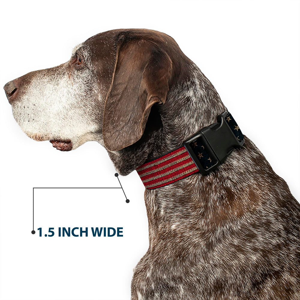 1-inch Buckle-Down collar designed for necks 15-26 inches.