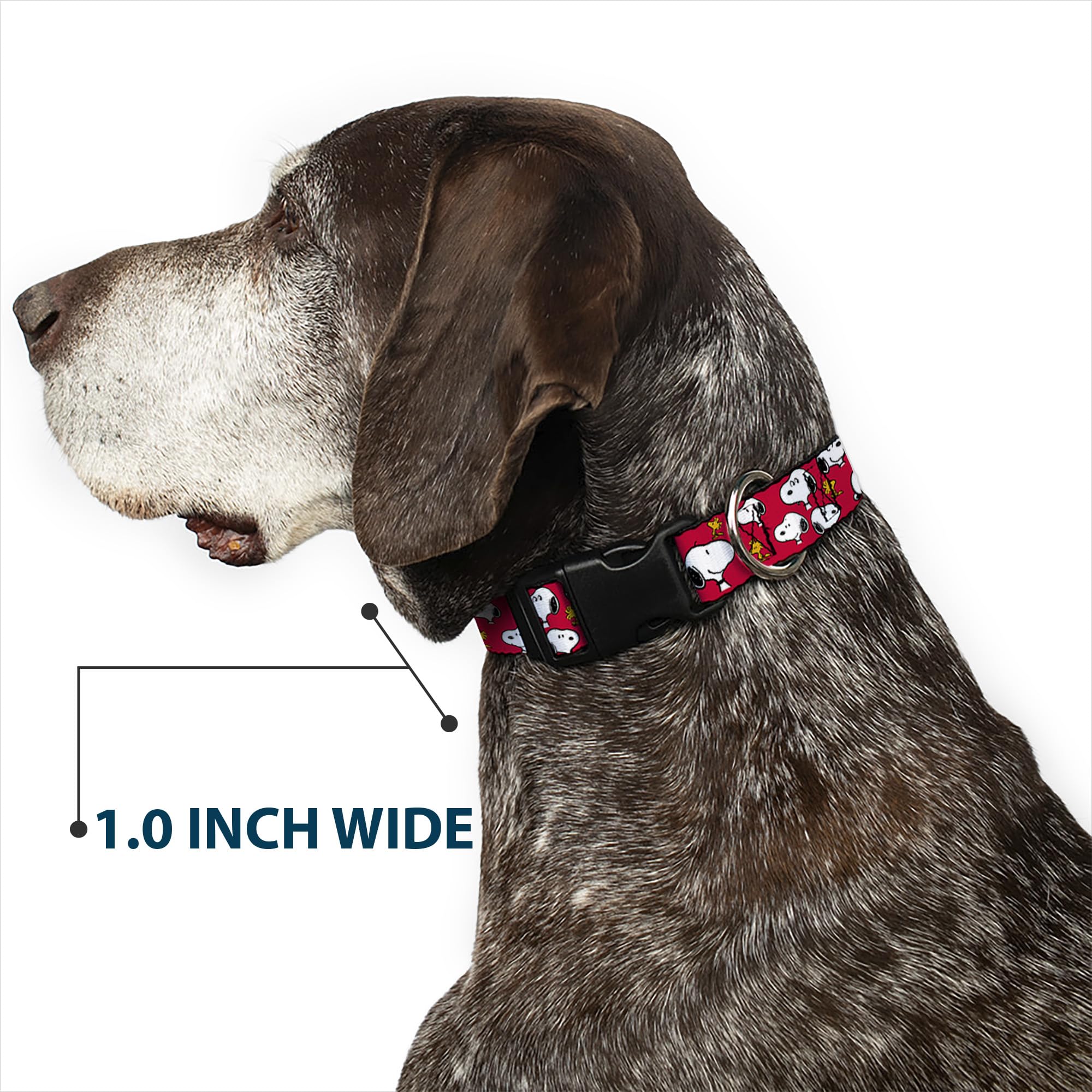 Buckle-Down Peanuts matching leash demonstrates a coordinated walk-ready set.