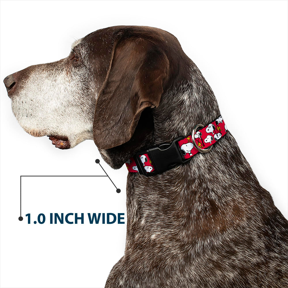 Buckle-Down Peanuts matching leash demonstrates a coordinated walk-ready set.
