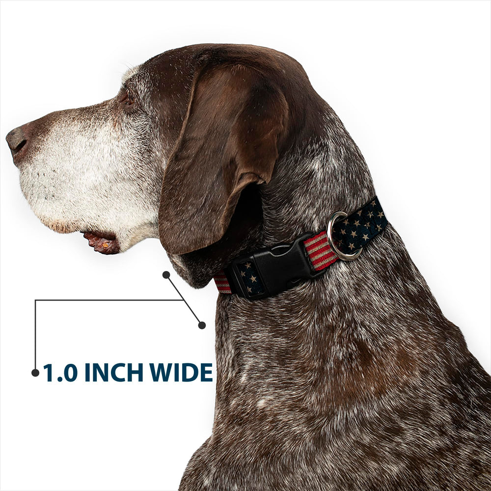Stitch detail on Buckle-Down polyester flag print collar.