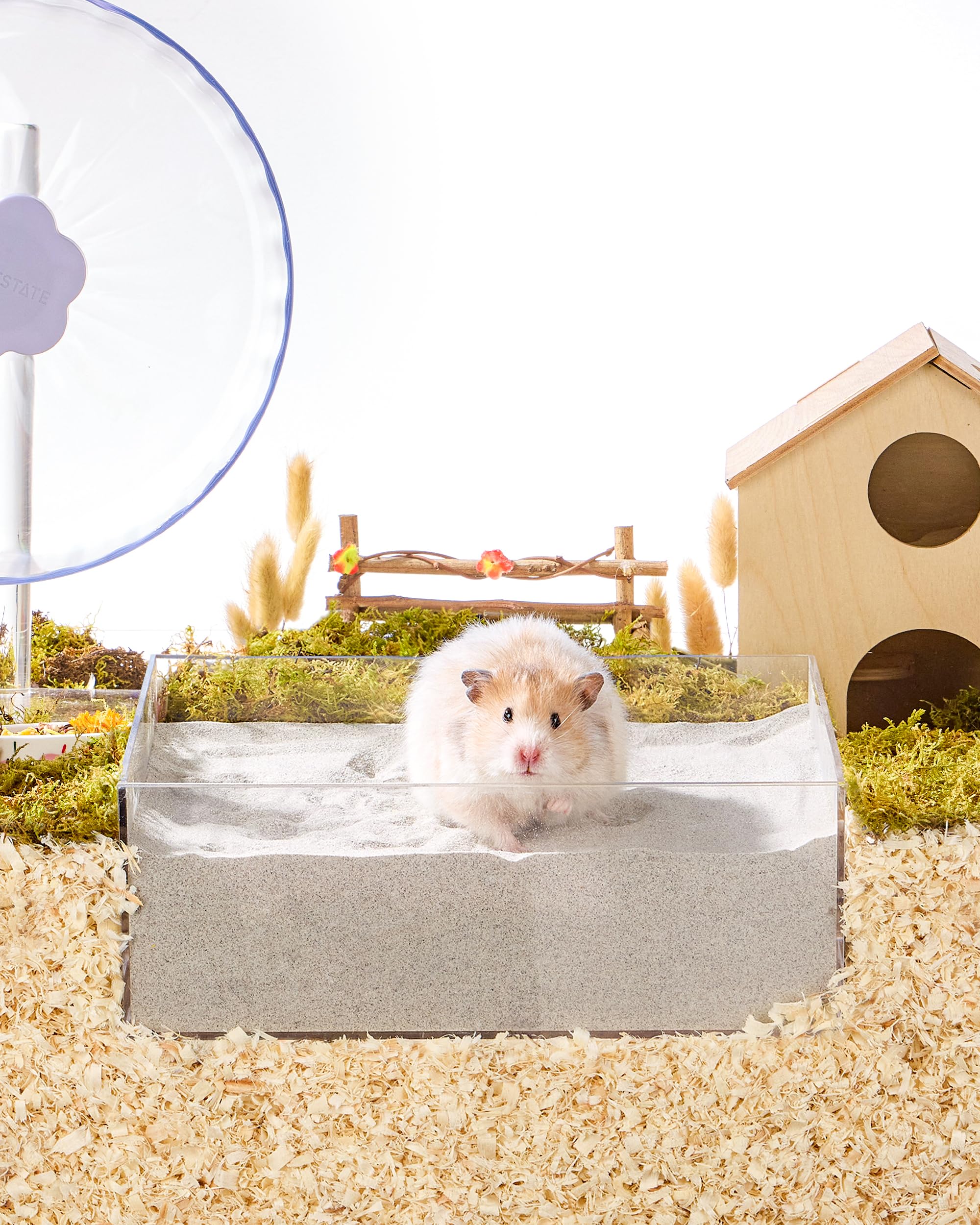 BUCATSTATE multi-use sand for potty and grooming in hamsters and chinchillas.