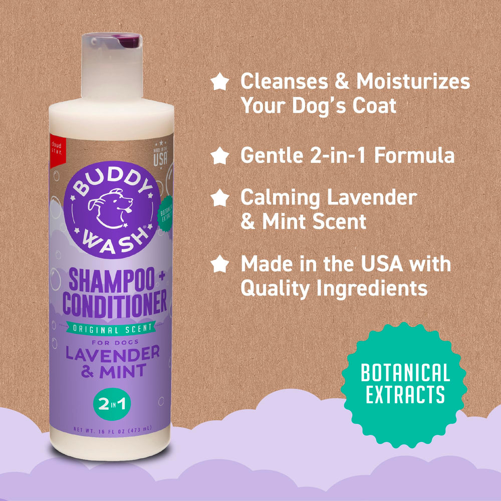 Buddy Grooming Wash dog-bath-time showing a calm routine and clean coat