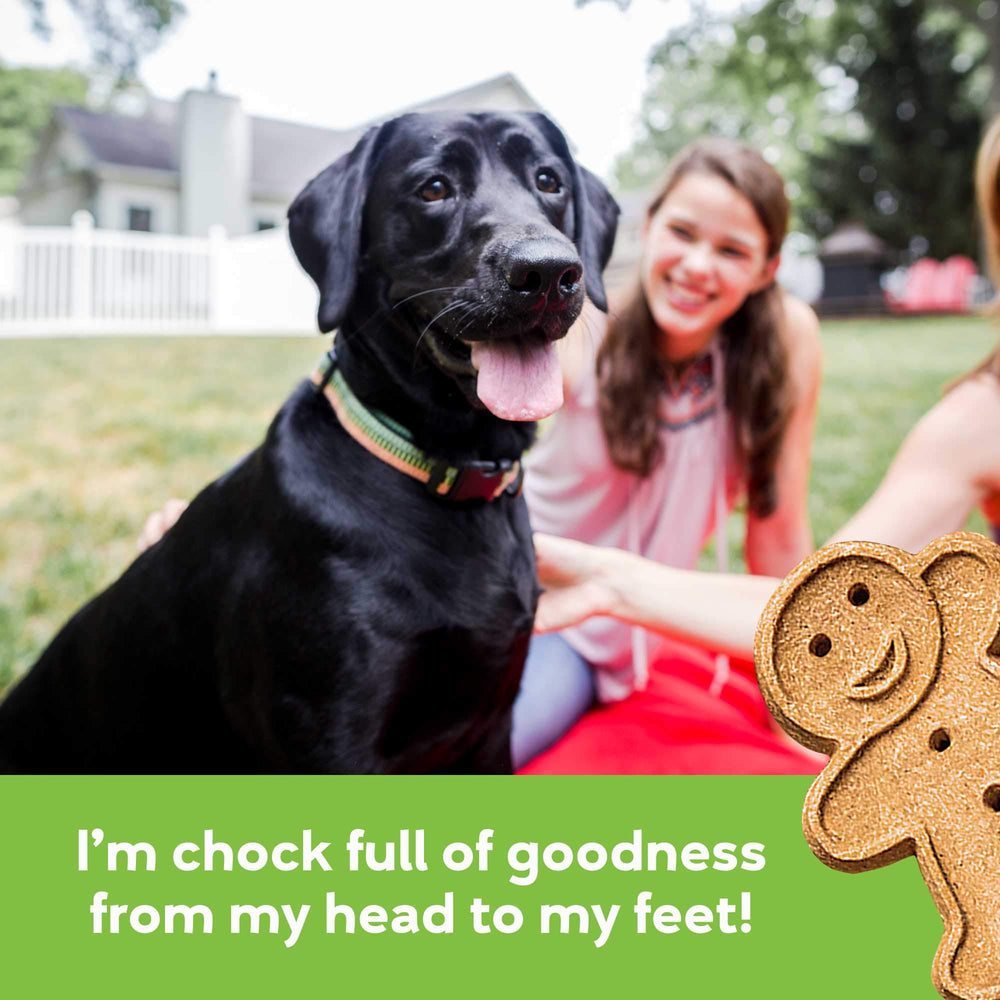 Buddy Biscuits ideal for aging dogs seeking gentle, chewy bites.