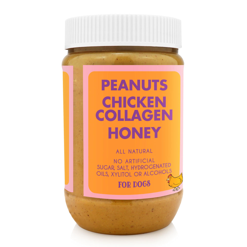Buddy Budder chicken collagen peanut butter for dogs, versatile and tasty.